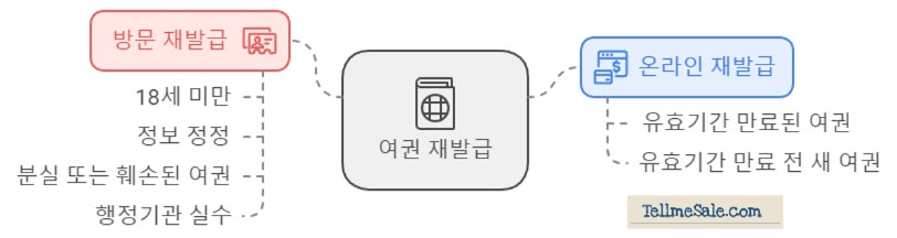 여권 재발급 신청방법을 보여주는 그래픽 이미지